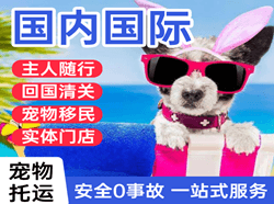 镶黄旗新宝拉格机场物流国际宠物托运 【国